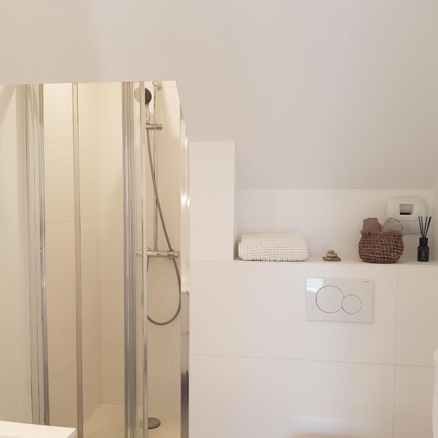 Santorin, Appartement Lumineux Au Coeur De Vannes Dış mekan fotoğraf